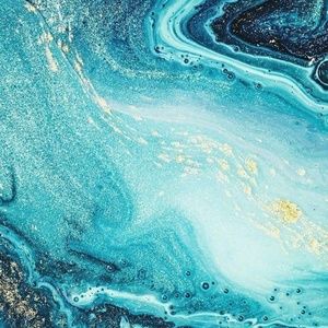 Meet your Posher, Quinn